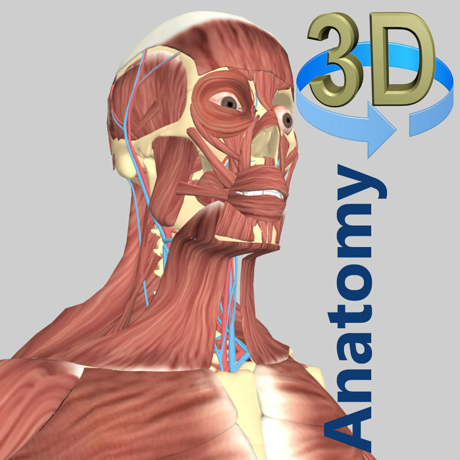 3D Anatomy Crack Featured