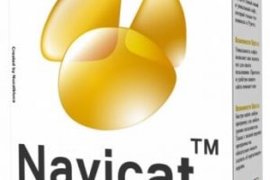 Navicat Premium 15.0.25 Crack Plus License Key [Latest] Free Download
